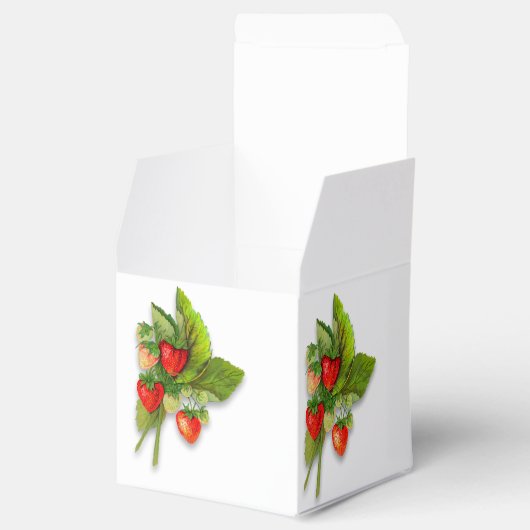 Danke Berry Much, Erdbeeren Geschenkschachtel (Geöffnet)