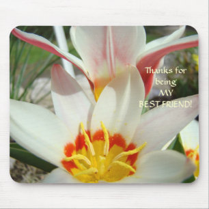 DANKE BESTER FREUND Geschenke Mauspad TULPENBLUMEN