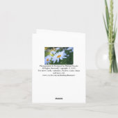 Danke Blank, Daisy (Rückseite)