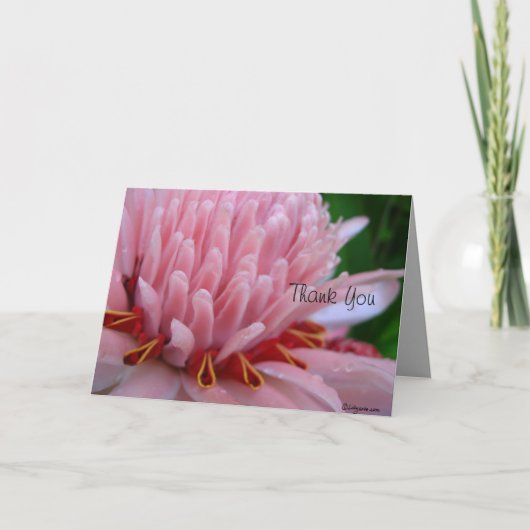 Danke Bloom Me Away Pink Ginger (Vorderseite)