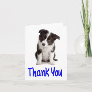 Danke Border Collie Welpen Blanko Grußkarte