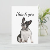 Danke Boston Terrier Dog Pet Animal (Stehend Vorderseite)