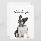 Danke Boston Terrier Dog Pet Animal (Vorne/Hinten)
