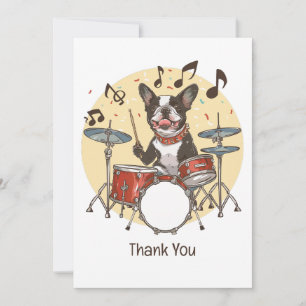 Danke Boston Terrier Hund spielt Schlagzeug