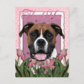 Danke - Boxer - Vindy Postkarte (Vorderseite)
