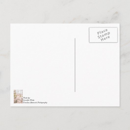 Danke, Bright, die Cherry Glitzern Postkarte (Rückseite)