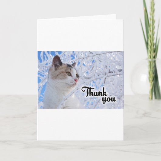 Danke, Cat Dankeskarte (Vorderseite)