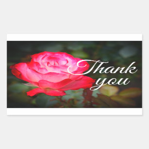 Danke, Cherry Parfait Rose #3 Stickers