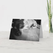 Danke Chihuahua-Karte (Vorderseite)