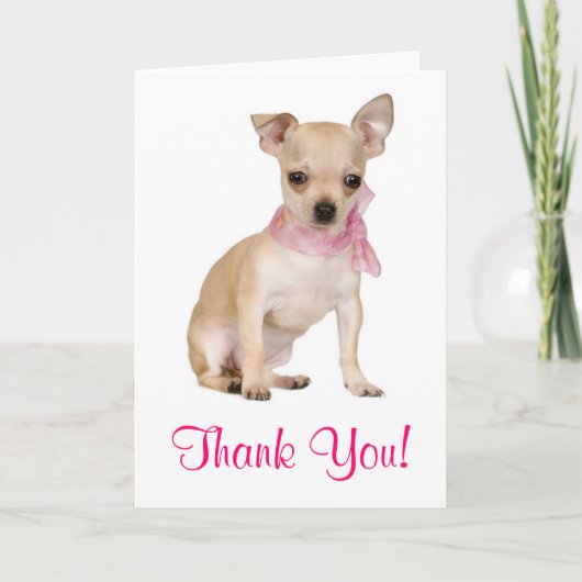 Danke Chihuahua Puppy Dog Grußkarte (Vorderseite)