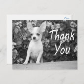 Danke Chihuahua Puppy Dog Postcard Postkarte (Vorne/Hinten)