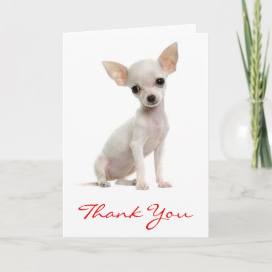 Danke Chihuahua Welpe Hund Grußkarte (Vorderseite)