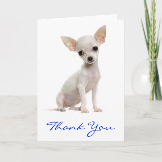 Danke Chihuahua Welpe Hund Grußkarte (Vorderseite)