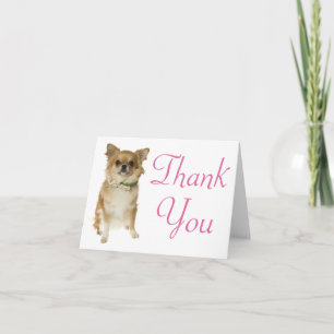 Danke Chihuahua Welpen Hund Leere Karte