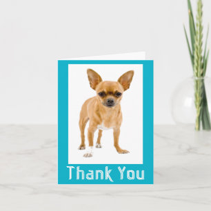 Danke Chihuahua Welpen Hund Leere Karte