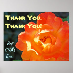 Danke! CNA-Kunstposter Beste Pflege CNA Poster