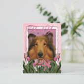 Danke - Collie - Natalie Postkarte (Stehend Vorderseite)