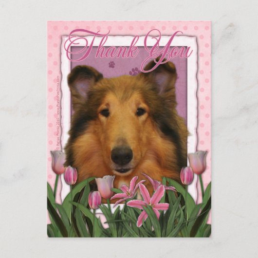 Danke - Collie - Natalie Postkarte (Vorderseite)