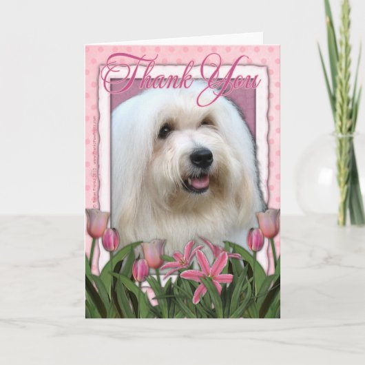 Danke - Coton de Tulear (Vorderseite)