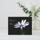 Danke - Daisy Postkarte (Stehend Vorderseite)