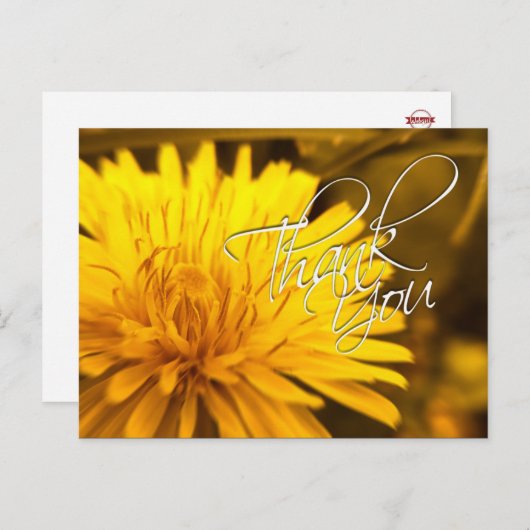 Danke Dandelion Yellow Blume Postcard Postkarte (Vorne/Hinten)