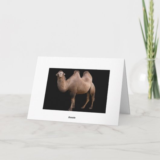 Danke! Dankeskarte (Rückseite)