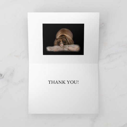 Danke! Dankeskarte (Innenseite)