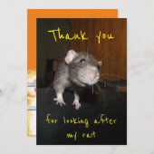 Danke, dass du dich um meine Ratte-Karte gekümmert Dankeskarte (Vorne/Hinten)