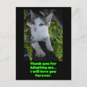 Danke, dass du mich adoptiert hast... Liebe für im Postkarte (Vorderseite)