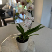 Danke, dass du mir geholfen hast, Lehrer/Daycare-G Dankeskarte