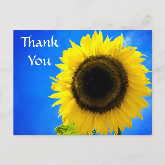 Danke, dass Sie die Gelbe Sonnenblume Gruß Postkar Postkarte (Vorderseite)