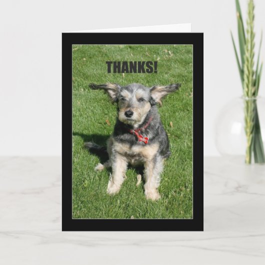 Danke! Deine Freundlichkeit hat mich fast weggebla Dankeskarte (Vorderseite)