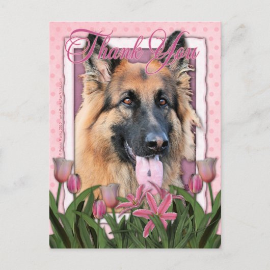 Danke - Deutscher Schäferhund - Chance Postkarte (Vorderseite)