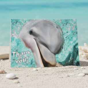 Danke Dolphin Küstenmeerlebewesen