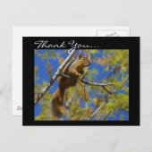 Danke, Eichhörnchen-Postkarte Postkarte (Vorne/Hinten)