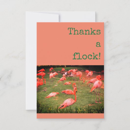 Danke einer Herde! Flamingo Danke-Karte (Vorderseite)