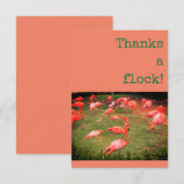 Danke einer Herde! Flamingo Danke-Karte (Vorne/Hinten)