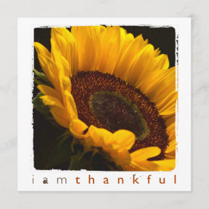 Danke flache Karten der Sonnenblumephotographie