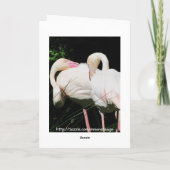 Danke Flamingovogel-Grußkarte (Rückseite)
