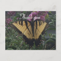 Danke Foto Gelbe und schwarze Schmetterling