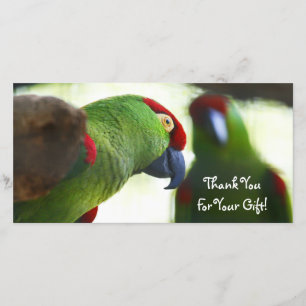 Danke, Foto-Karte Dankeskarte