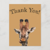 Danke,Foto lustiger Giraffe,Minimalist Postkarte (Vorderseite)