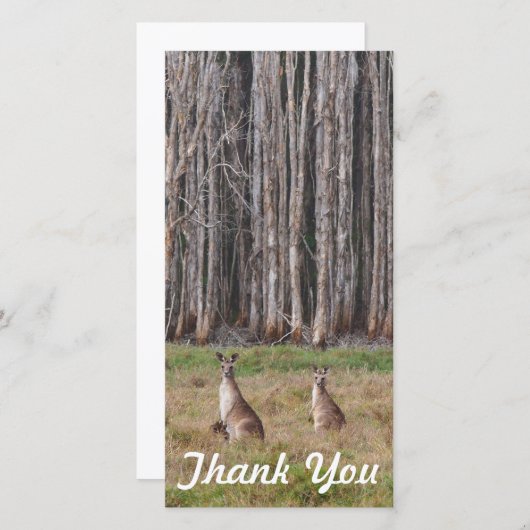 Danke Fotokarte - australische Kängurus (Vorne/Hinten)