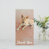 Danke Fotokarte - australischer Dingo (Stehend Vorderseite)