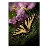 Danke Frack Butterfly Pink Sommer Floral (Vorne)