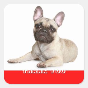 Danke Französische Bulldogge Welpen Hund Aufkleber