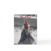 Danke, freier Raum, Hahn