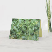 DANKE FREUND (Rückseite)