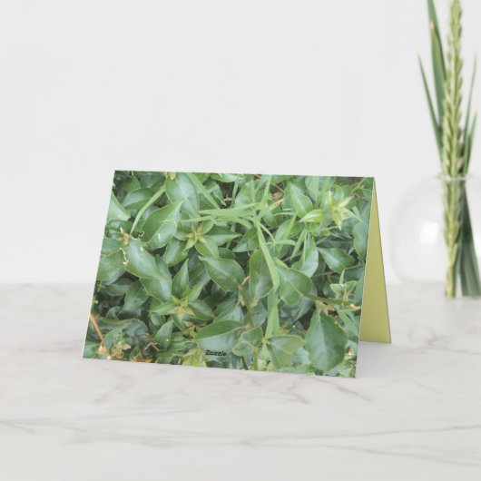 DANKE FREUND (Rückseite)