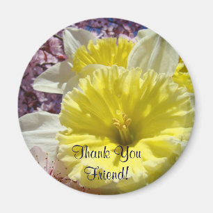 Danke Freund! Magnet Helle Frühlingsdaffodils